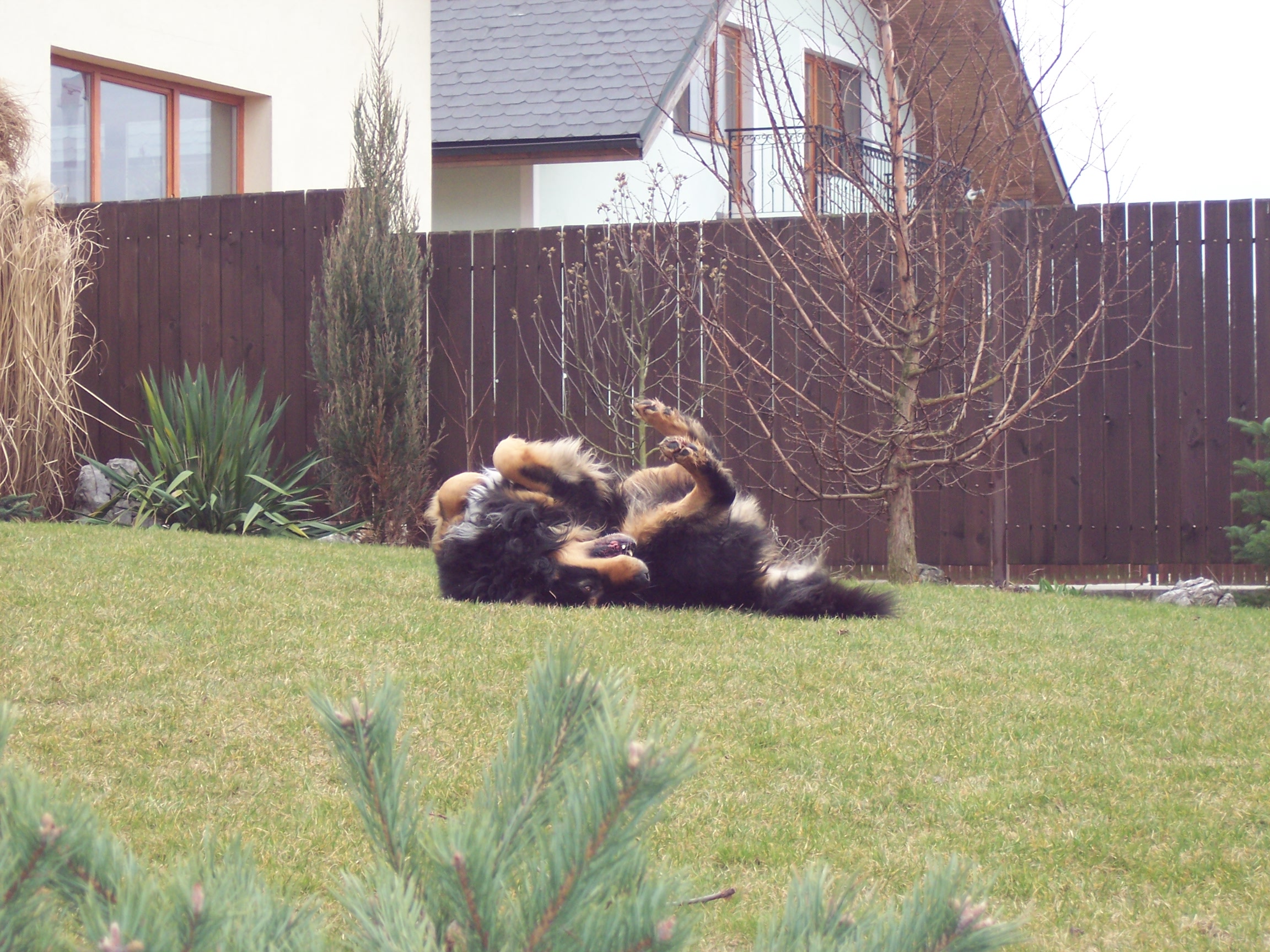 100_4119.JPG